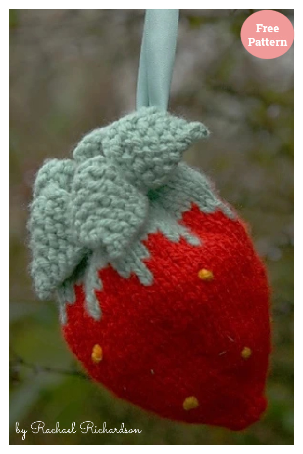 Strawberry Bag Free Knitting Pattern