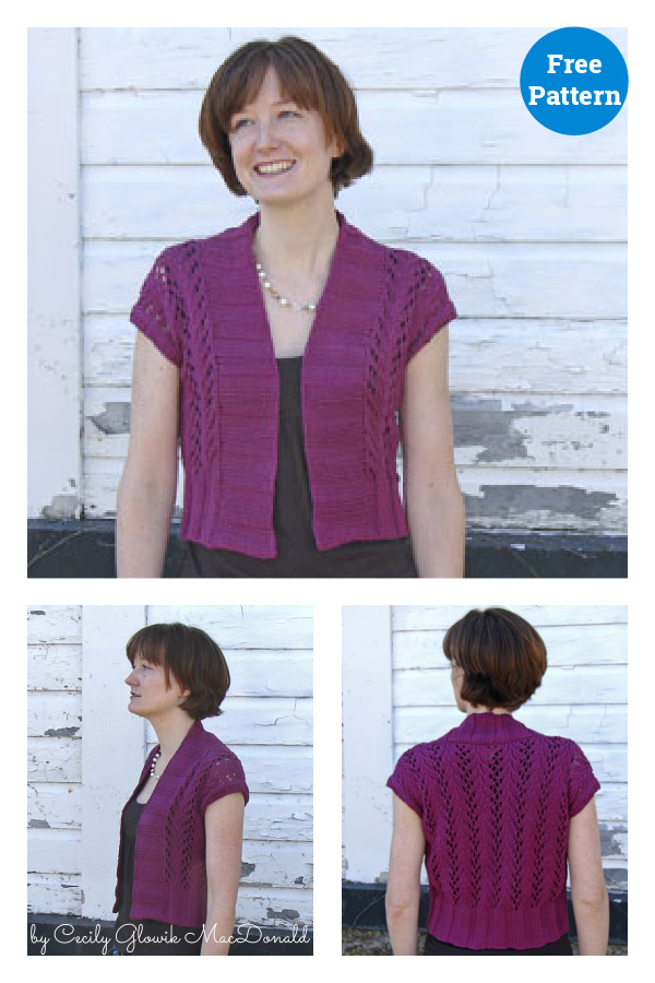 Four Seasons Vine Lace Vest Free Knitting Pattern