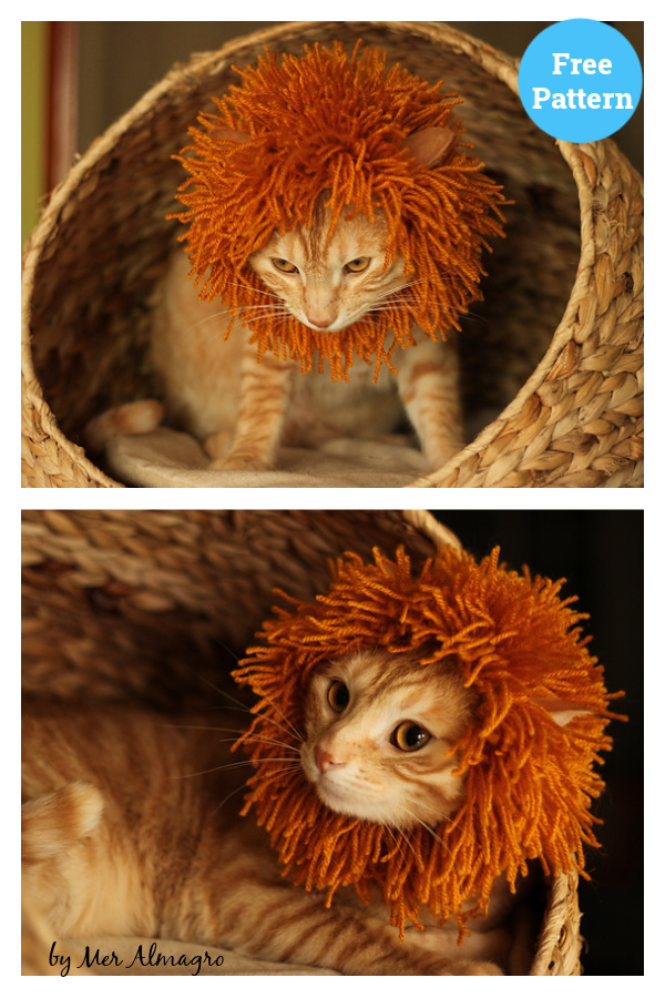 Cat's Mane Hat Free Knitting Pattern 