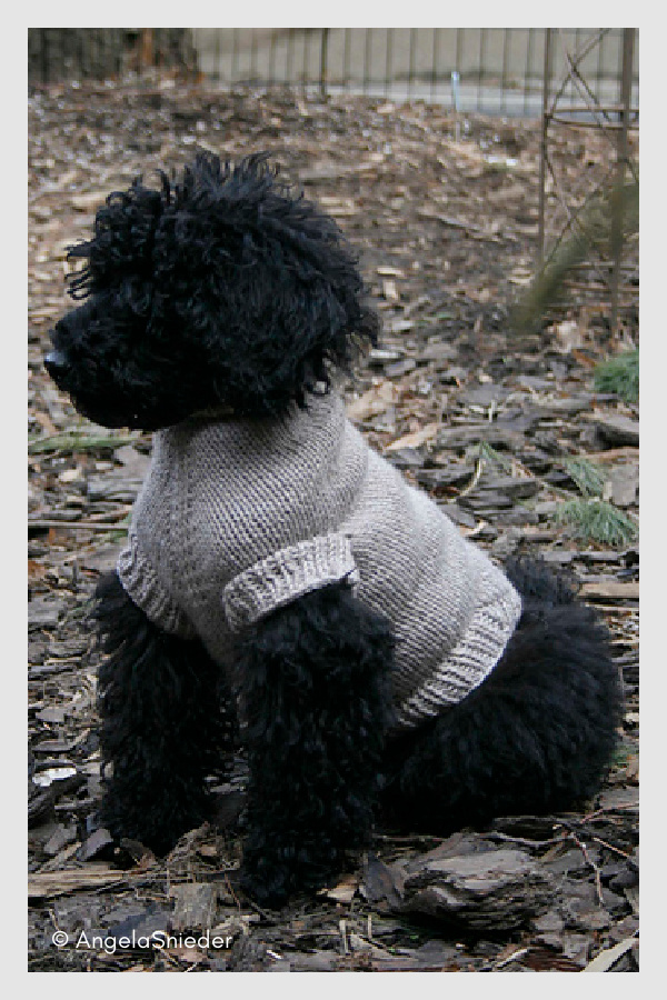 Perfect Fit Dog &Cat Sweater Free Knitting Pattern