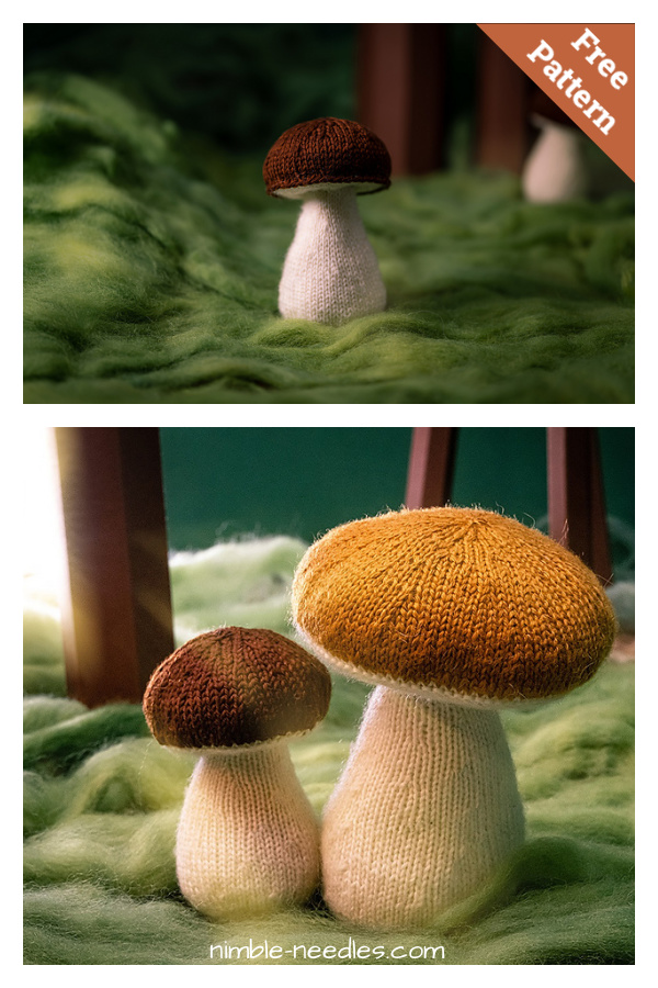 Porcini Mushrooms Free Knitting Pattern 