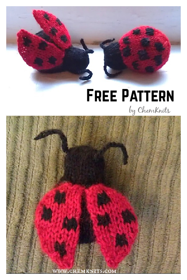 Amigurumi LadyBug Free Knitting Pattern