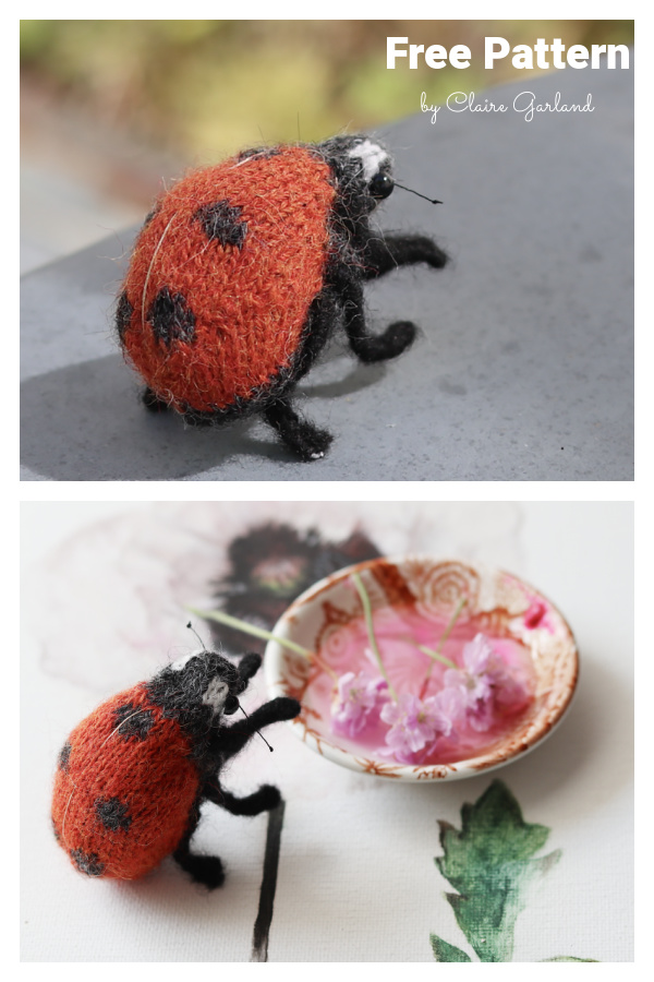 Ladybird Ladybug Free Knitting Pattern