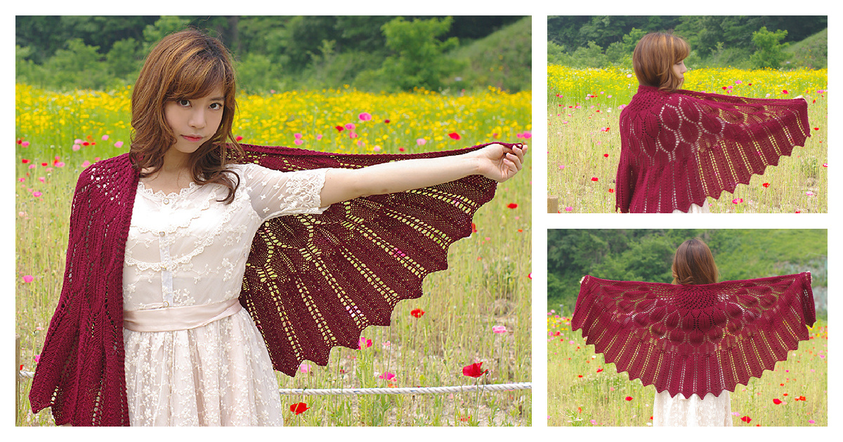 Wing Shawl