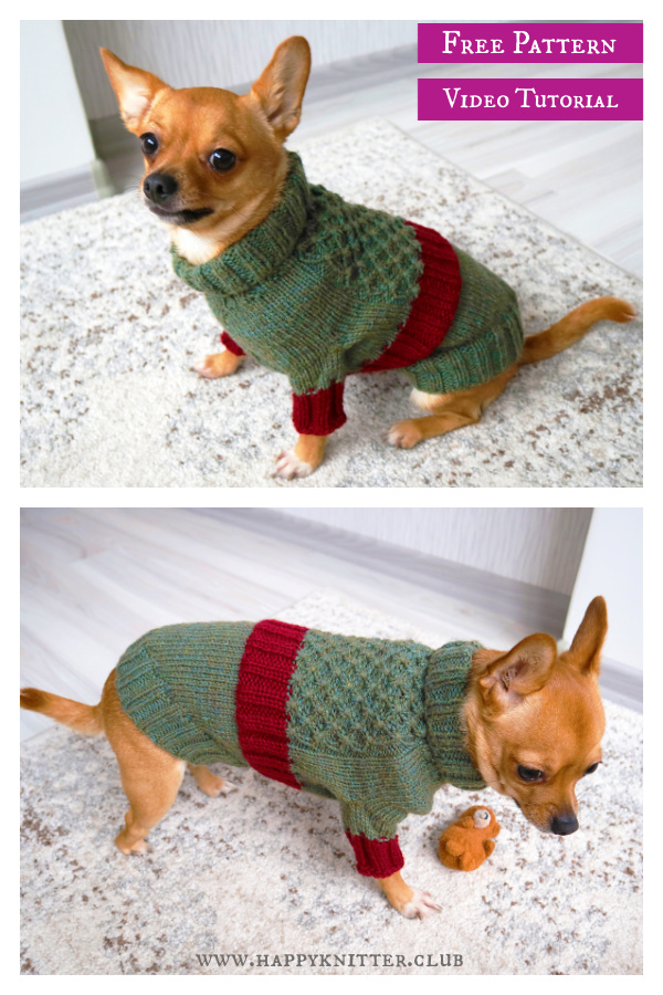 Elf Dog Sweater Free Knitting Pattern and Video Tutorial