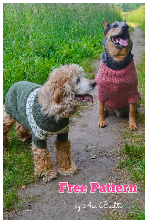Fetch Dog Sweater Free Knitting Pattern