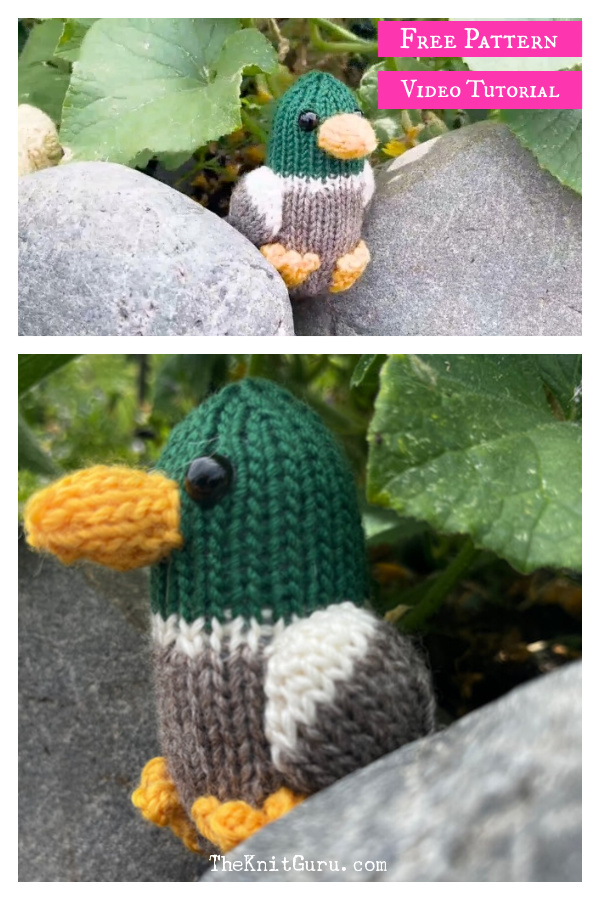 Mallard Duck Amigurumi Fee Knitting Pattern and Video Tutorial