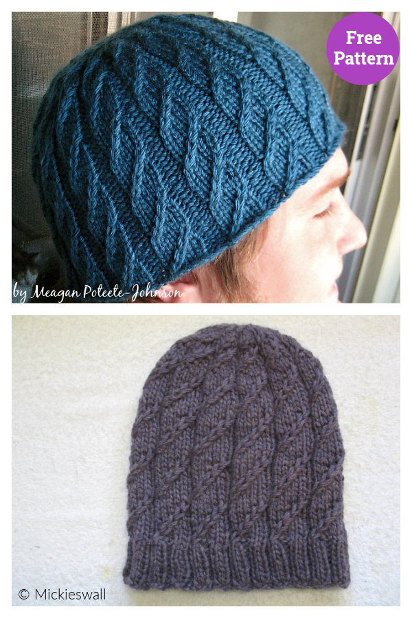 Faux Cable Beanie Free Knitting Pattern