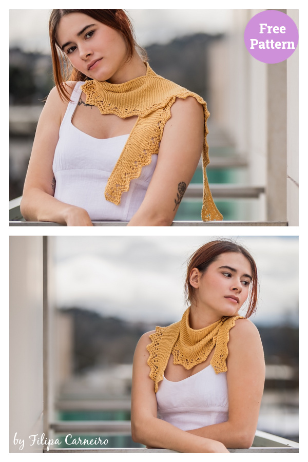 Harmonia Shawlette Free Knitting Pattern