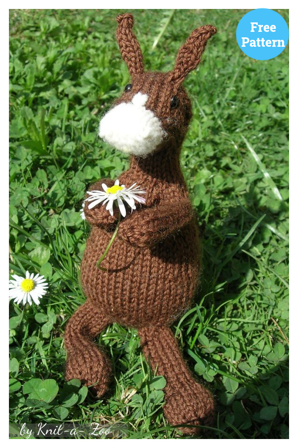Hannibal the Donkey Free Knitting Pattern