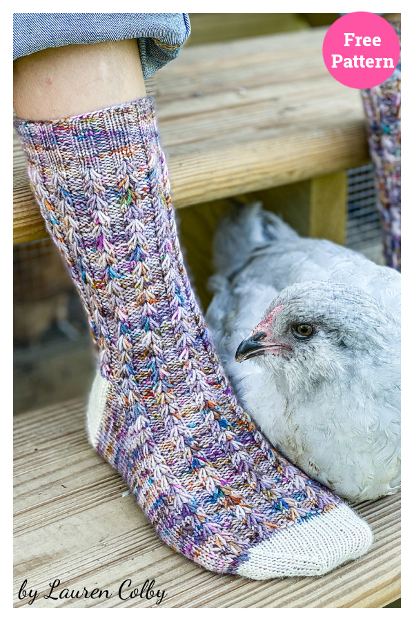 Chicken Scratch Socks Free Knitting Pattern
