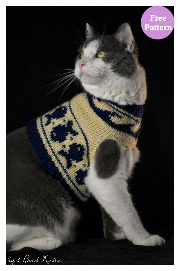 Fishing for Compliments Cat Sweater Free Knitting Pattern