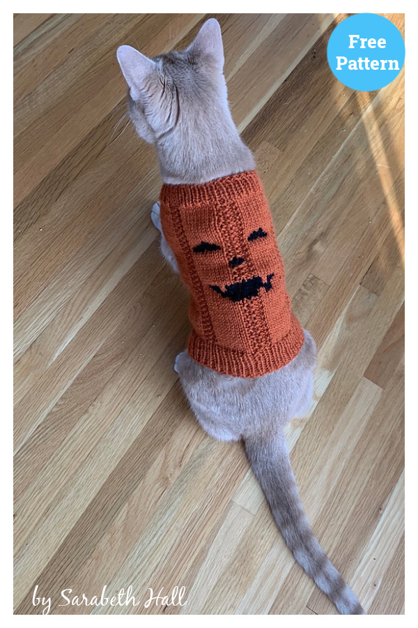Jack O'lantern Cat Sweater Free Knitting Pattern