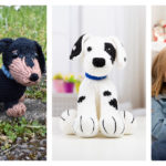 Cute Puppy Free Knitting Pattern