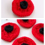 Armistice Poppy Free Knitting Pattern