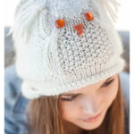 Owl Beanie Free Knitting Pattern