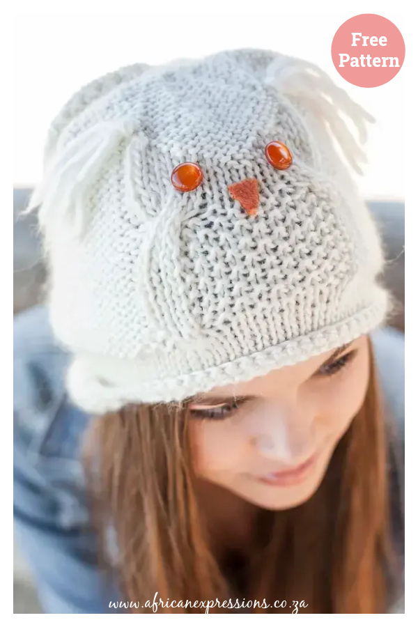 Owl Beanie Free Knitting Pattern