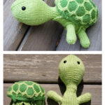 Sheldon Turtle Free Knitting Pattern