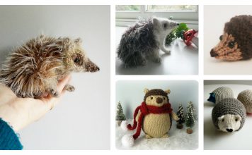 Amigurumi Hedgehog Free Knitting Patterns