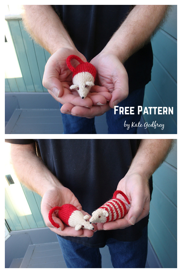 A Little Friend Free Knitting Pattern