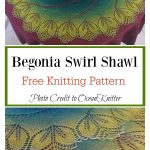 Bigger Begonia Swirl Lace Shawl Free Knitting Pattern