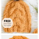 Cable Hat Free Knitting Pattern