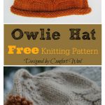 Owlie Hat Free Knitting Pattern