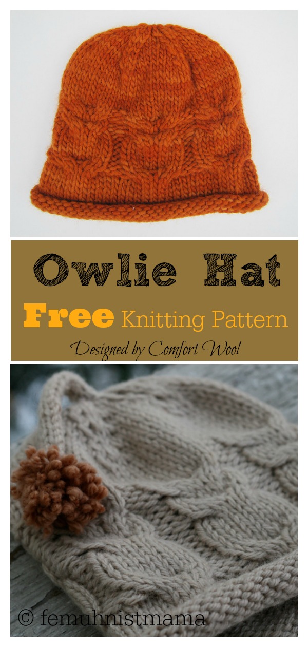 Owlie Hat Free Knitting Pattern 