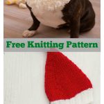 Santa Doggie Hat Free Knitting Pattern