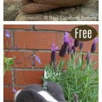 Amigurumi Bunny Rabbit Free Knitting Pattern