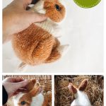 Cinnamon Dutch Bunny Knitting Pattern