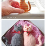 Tiny Window Cat Free Knitting Pattern