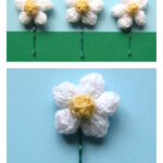 Daisy Flower Free Knitting Pattern