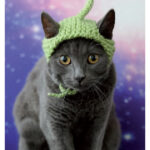 Alien Cat Hat Free Knitting Pattern