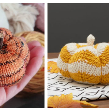 Autumn Pumpkin Free Knitting Pattern