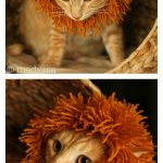 Cat’s Mane Hat Free Knitting Pattern