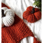 Hey There Pumpkin Free Knitting Pattern