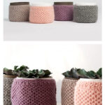 Plant Cozies Free Knitting Pattern