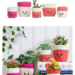 Plant Pals Pot Cozies Free Knitting Pattern