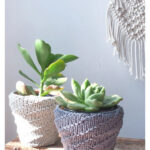 Succulent Planter Cover Knitting Pattern