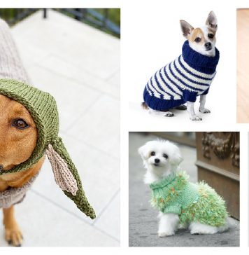 Dog Coat Free Knitting Pattern