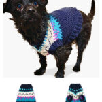 Family Dog Sweater Free Knitting Pattern