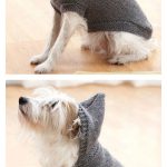 Hoodie Dog Coat Free Knitting Pattern