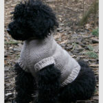 Perfect Fit Dog &Cat Sweater Free Knitting Pattern