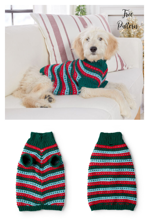 Stylish Dog Sweater Free Knitting Pattern