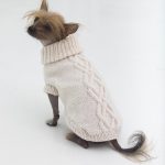 The Prep Dog Sweater Free Knitting Pattern