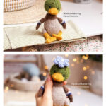 Baby Duck Free Knitting Pattern