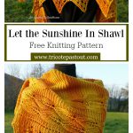 Let the Sunshine In Shawl Free Knitting Pattern