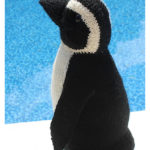Amigurumi African Penguin Soft Toy Knitting Pattern
