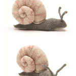 Snail Free Knitting Pattern